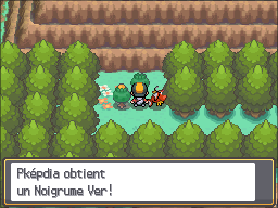 Route 46 Noigrume Vert HGSS.png