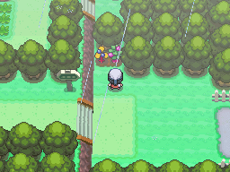Fichier:Route 215 Baie Wiki & Baie Mago Pt.png