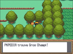 Route 4 Gros Champi HGSS.png