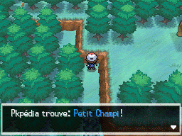 Autel Abondance Petit Champi 3 NB.png