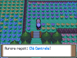 Pré Floraville Clé Centrale Pt.png