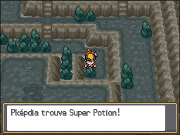 Puits Ramoloss Super Potion Cachée HGSS.png