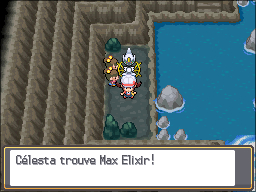 Antre du Dragon Max Elixir HGSS.png