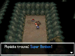 Fichier:Chemin Enfoui Super Bonbon N2B2.png