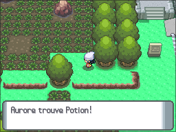 Grand Marais Potion DP.png