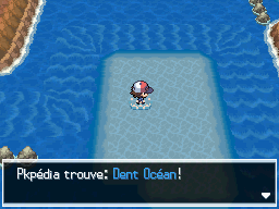 Chenal 17 Dent Océan NB.png