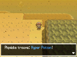 Désert Délassant Hyper Potion NB.png
