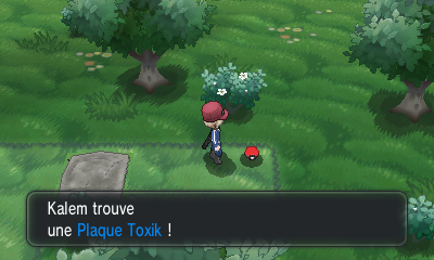 Fichier:Route 19 Plaque Toxik XY.png