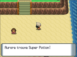 Route 213 Super Potion DP.png
