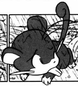 Rattata de Farouk-PMS.png