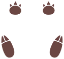 Empreintes 0027 DEPS.png