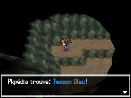 Fichier:Grotte Parsemille Tesson Bleu N2B2.png