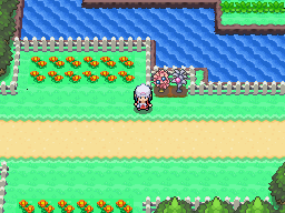 Fichier:Route 205 Baie Maron & Baie Pêcha Pt.png