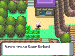 Route 225 Super Bonbon DP.png