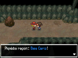 Fichier:Route Victoire Baie Ceriz N2B2.png