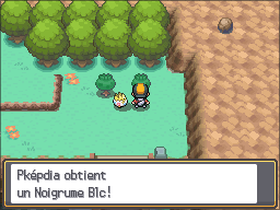 Argenta Noigrume Blanc HGSS.png