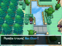 Fichier:Ogoesse Max Élixir N2B2.png