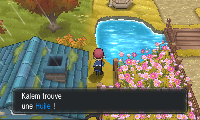 Fichier:Romant-sous-Bois Huile XY.png