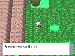 Route 210 Huile DP.png