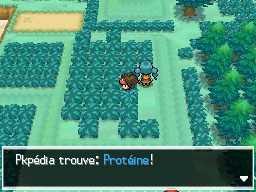 Fichier:Route 1 Protéine N2B2.png