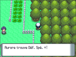 Route 214 Déf. Spé. + DP.png