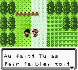Route 30 Gamin Gaspard OA.png
