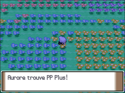 Pré Floraville PP Plus Pt.png