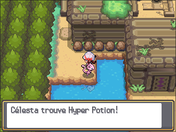 Ruines d'Alpha Hyper Potion HGSS.png