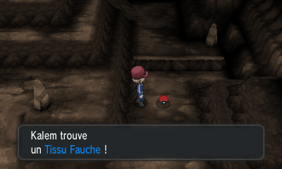 Fichier:Grotte Coda Tissu Fauche XY.png