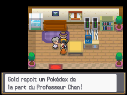 Route 30 Pokédex HGSS.png