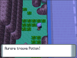 Route 206 Potion DP.png