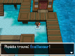 Fichier:Papeloa Écaillecœur 1 N2B2.png