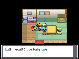 Fichier:Route 30 Bte Noigrume HGSS.png
