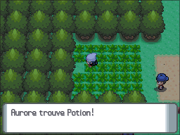 Route 202 Potion DP.png