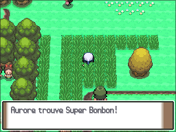 Route 210 Super Bonbon Pt.png