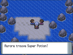 Route 219 Super Potion DP.png