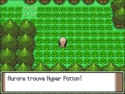 Route 221 Hyper Potion Pt.png