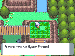 Route 225 Hyper Potion DP.png