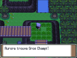 Route 225 Gros Champi Pt.png