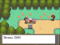 Route 36 CS06 HGSS.png
