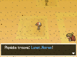 Désert Délassant Lunet.Noires NB.png
