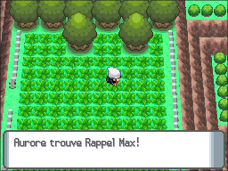 Route 213 Rappel Max DP.png