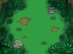 Jungle Méridionale (1) PDMC.png