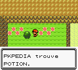 Route 25 Potion C.png