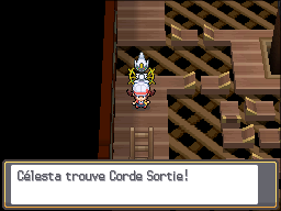 Tour Carillon Corde Sortie HGSS.png