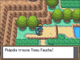 Mont Argenté Tissu Fauche HGSS.png
