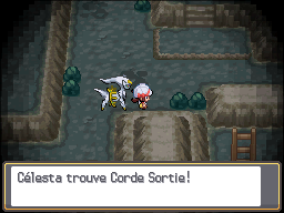 Tourb'Îles Corde Sortie HGSS.png