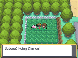 Fichier:Route 14 Poing Chance HGSS.png