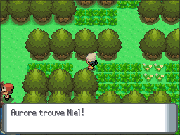 Route 221 Miel DP.png