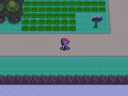 Bicyclette screen DPP.png
